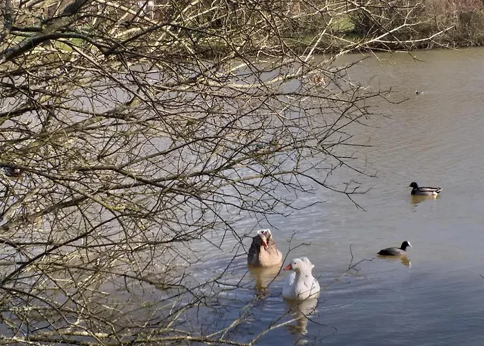 Mobil Fradin Parc De Loisirs Talmont-Saint-Hilaire